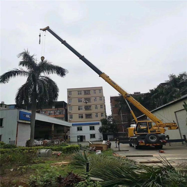 老城汽车吊出租多少钱？全面解析与市场行情